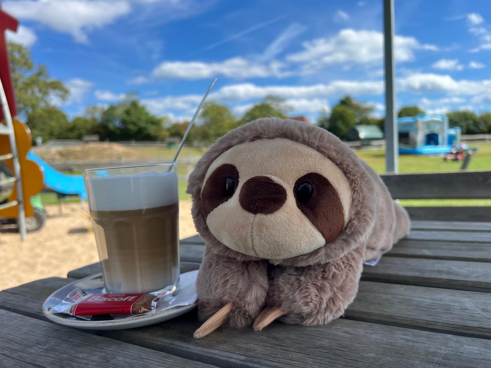 Faultier Helge unterstützt uns bei der finanziellen Früherziehung.